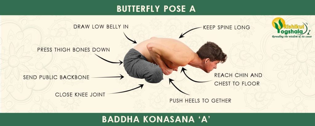 Baddha Konasana (Butterfly Pose)