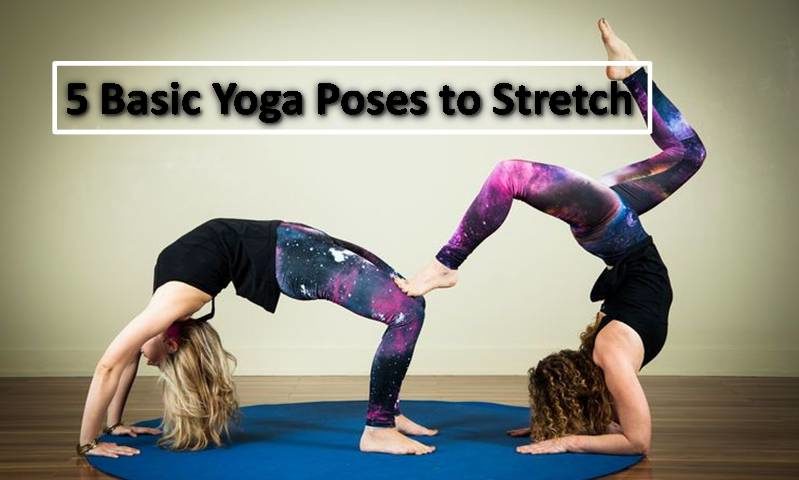 5 Basic Yoga Poses to Stretch