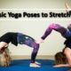 5 Basic Yoga Poses to Stretch