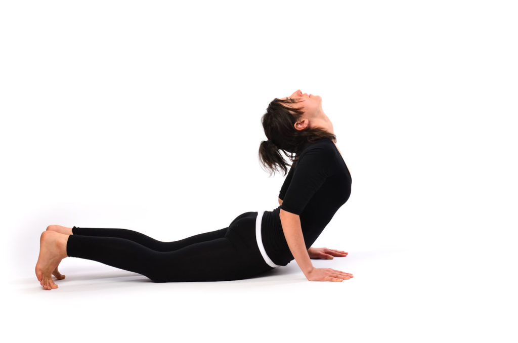 Bhujangasana or the Cobra