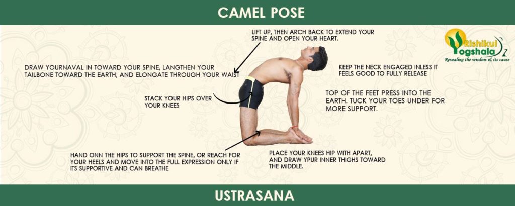 Camel Pose (Ustrasana)