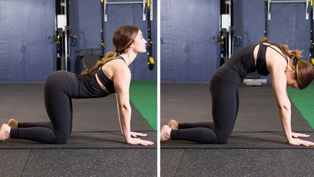 Cat-Cow or Marjaryasana-Bitilasana