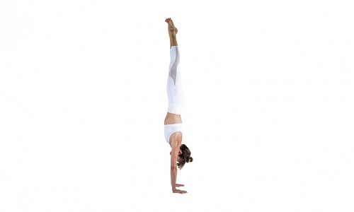 Downward Facing Tree Pose (Adho Mukha Vrksasana)