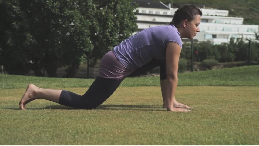 Equestrian Pose (Ashwa Sanchalanasana)
