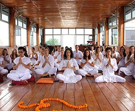 Rishikul Yogshala Rishikul Yogshala