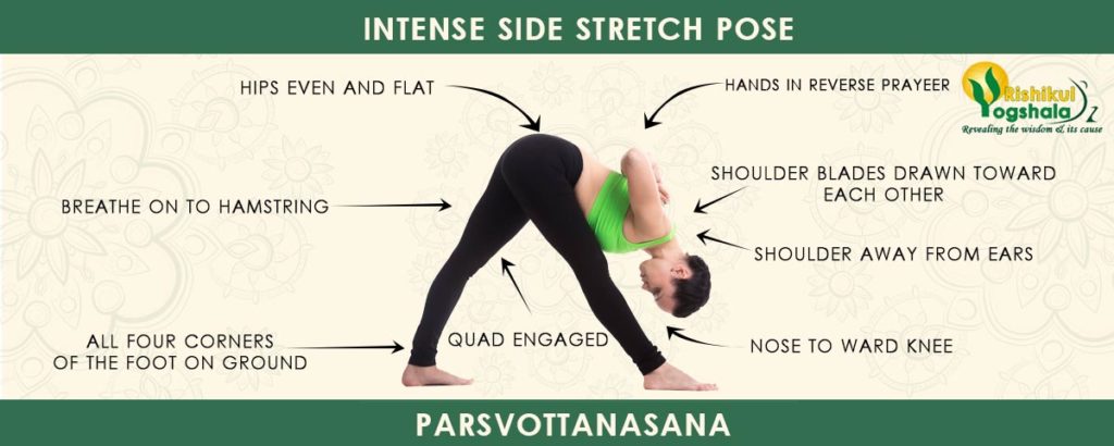 Intense Side Stretch Pose (Parsvottanasana)