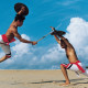 Kalaripayattu in Kerala