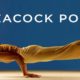 Mayurasana (Peacock Pose)