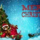 merry-christmas-at-rishikul-yogshala