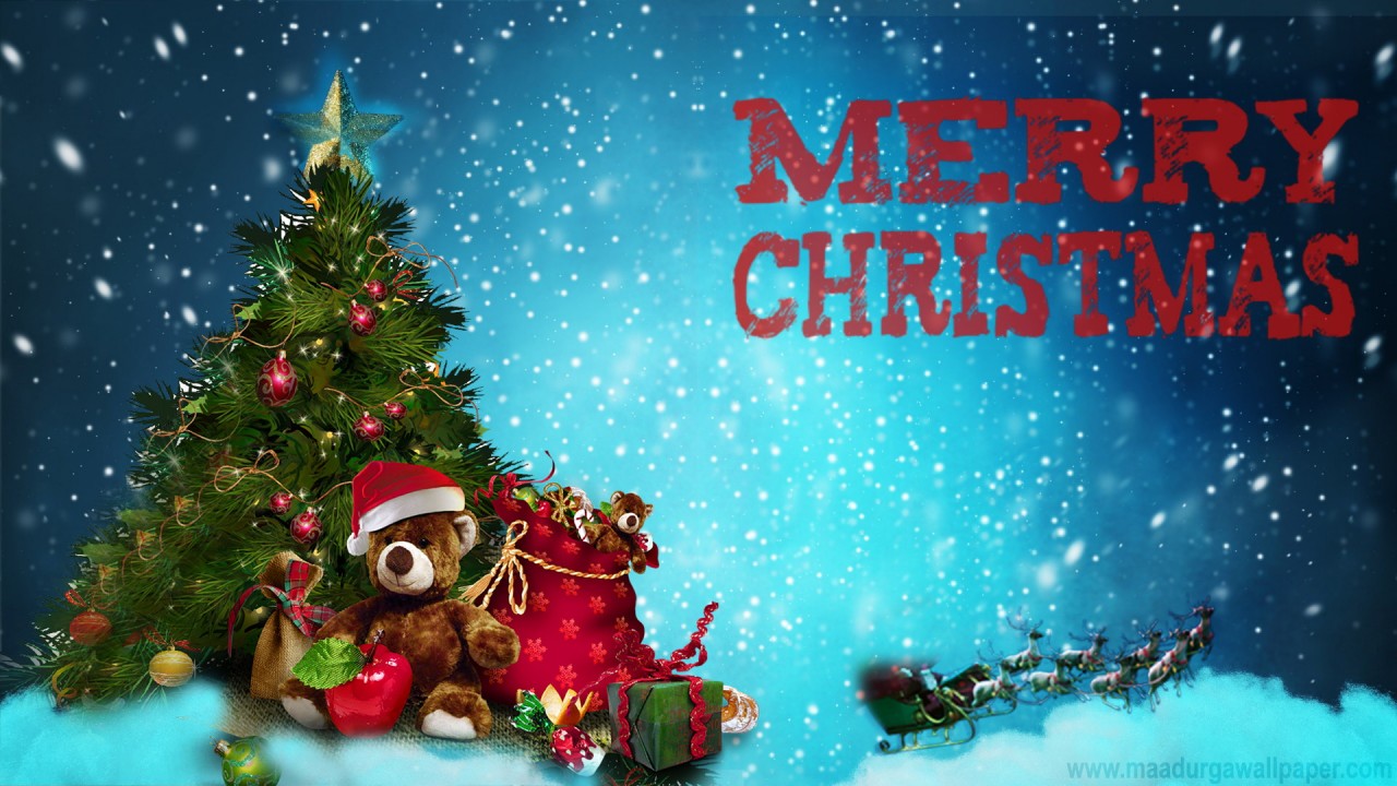 merry-christmas-at-rishikul-yogshala