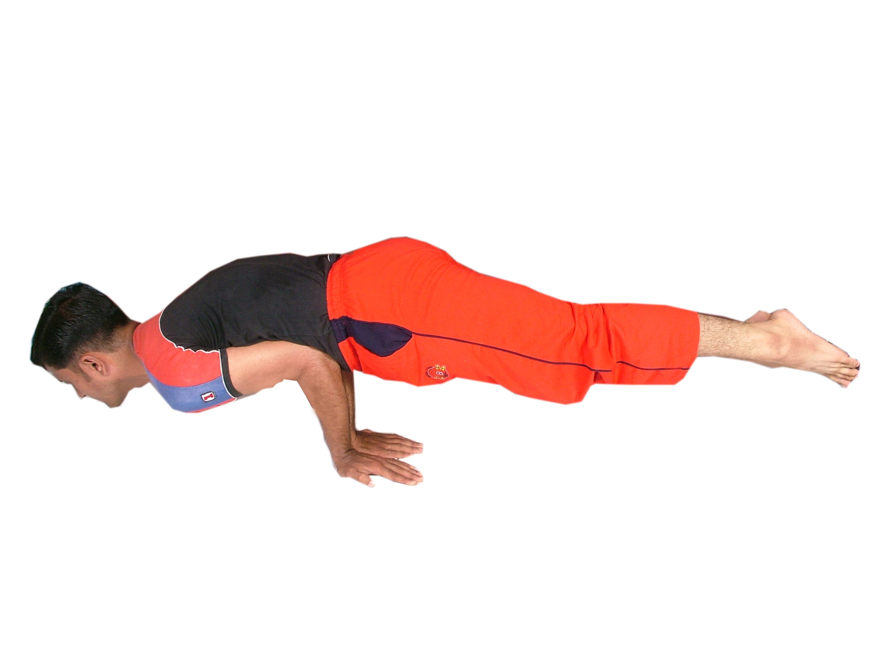 Peacock Pose ( Mayurasana)