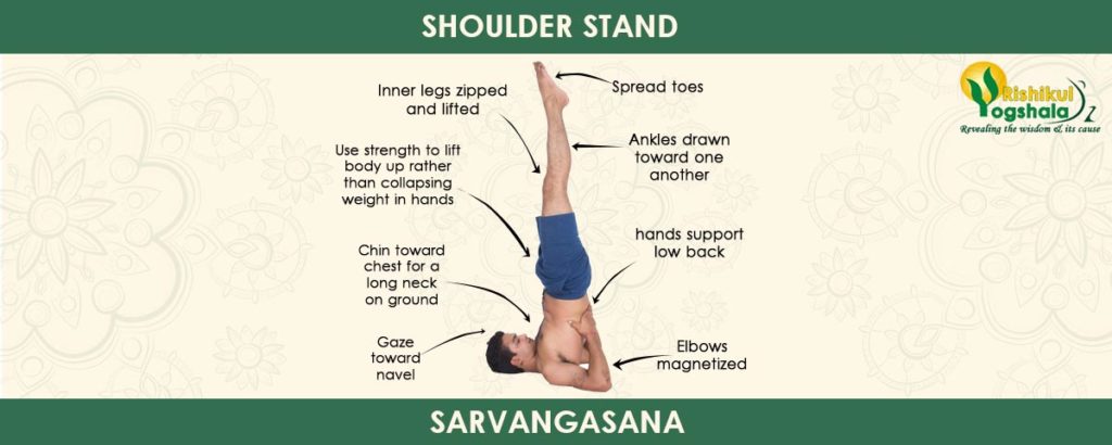 Shoulder Stand (Sarvangasana )