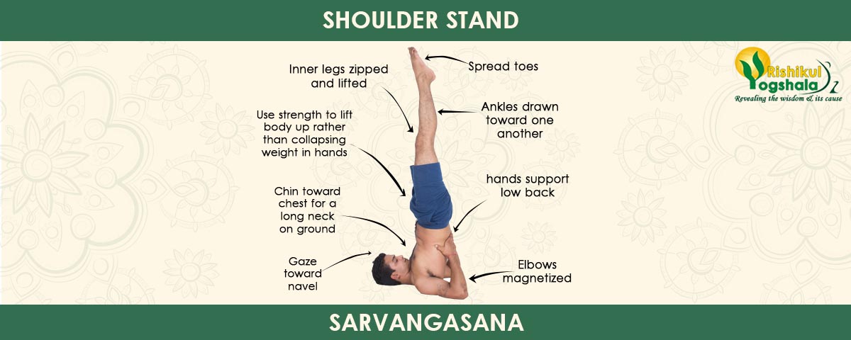 Shoulder Stand (Sarvangasana )