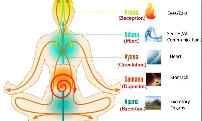 The Five Main Prana Vayus