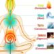 The Five Main Prana Vayus