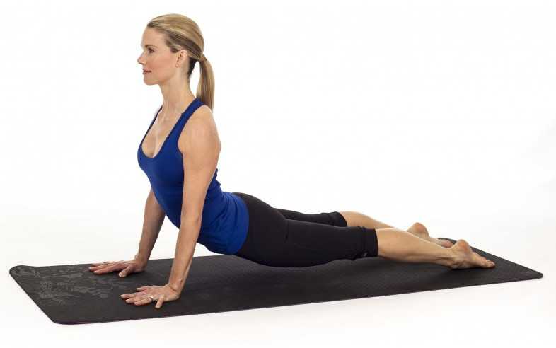 Upward Facing Dog Pose (Urdhva Mukha Svanasana)