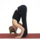 Uttanasana (Standing Forward Bend Pose)