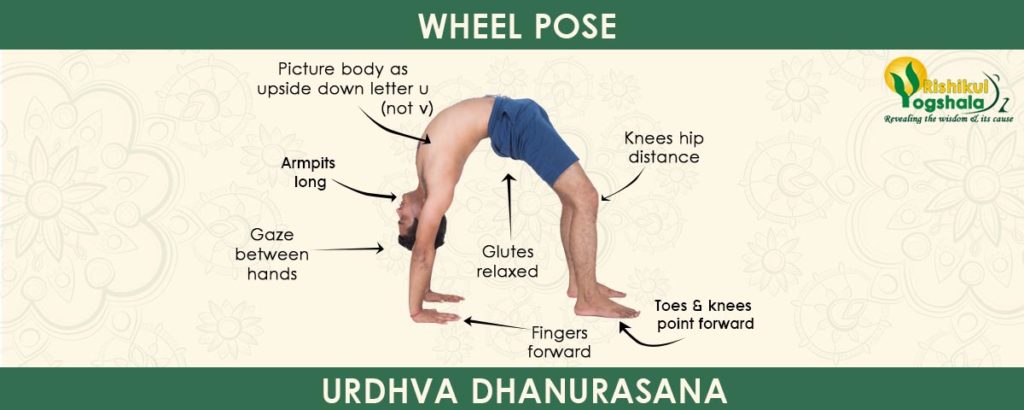Wheel Pose (Urdhva Dhanurasana)