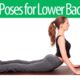 yoga poses for lower back pain