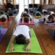 Yoga Teacher Training