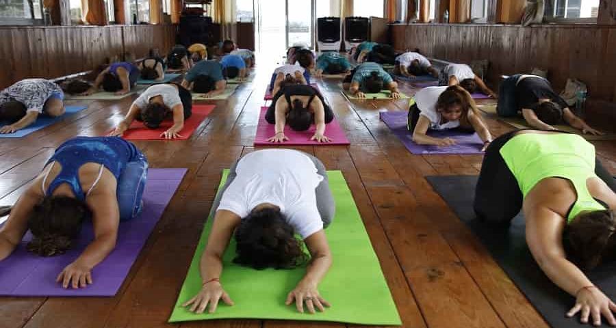 Yoga Teacher Training