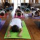 Yoga Teacher Training in Rishikesh