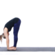 Padahastasana (Hand Under Foot Pose)