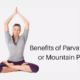 Parvatasana (Mountain Pose)