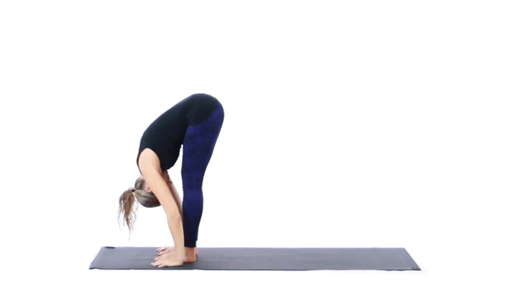 Standing Forward Fold Pose (Uttanasana): 